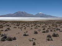 04-Chile-Putre-Lauca-Surire-139