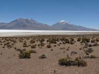 04-Chile-Putre-Lauca-Surire-142