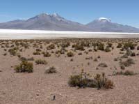 04-Chile-Putre-Lauca-Surire-143