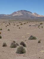 04-Chile-Putre-Lauca-Surire-150