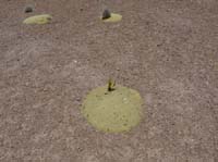 04-Chile-Putre-Lauca-Surire-160