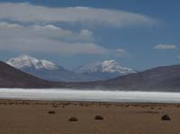 04-Chile-Putre-Lauca-Surire-178