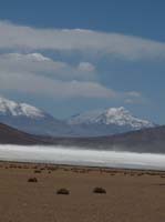 04-Chile-Putre-Lauca-Surire-179