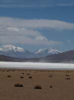 04-Chile-Putre-Lauca-Surire-191