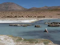 04-Chile-Putre-Lauca-Surire-208