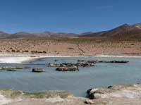 04-Chile-Putre-Lauca-Surire-212