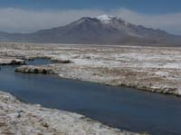 04-Chile-Putre-Lauca-Surire-214