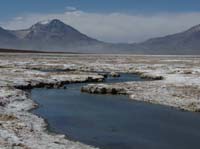 04-Chile-Putre-Lauca-Surire-216