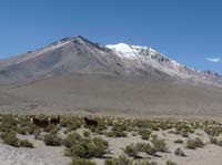 04-Chile-Putre-Lauca-Surire-227