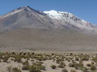 04-Chile-Putre-Lauca-Surire-247