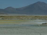 04-Chile-Putre-Lauca-Surire-253