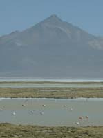 04-Chile-Putre-Lauca-Surire-263