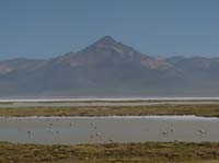 04-Chile-Putre-Lauca-Surire-264