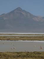 04-Chile-Putre-Lauca-Surire-265