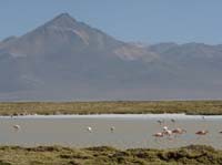 04-Chile-Putre-Lauca-Surire-271