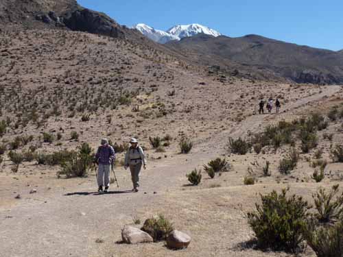 03-Chile-Putre-035