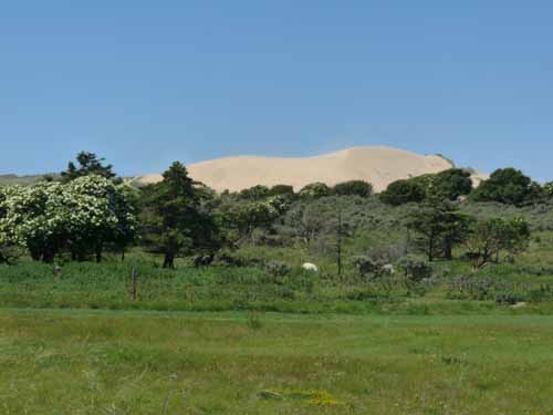 Daenemark-Dalsland-Nordmarken-748