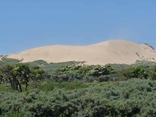 Daenemark-Dalsland-Nordmarken-751