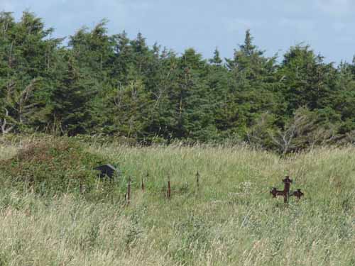 Daenemark-Dalsland-Nordmarken-754