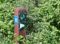 Daenemark-Dalsland-Nordmarken-741