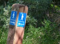 Daenemark-Dalsland-Nordmarken-745