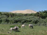 Daenemark-Dalsland-Nordmarken-750