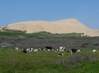 Daenemark-Dalsland-Nordmarken-753