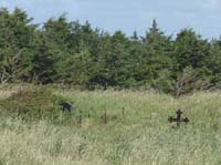 Daenemark-Dalsland-Nordmarken-754