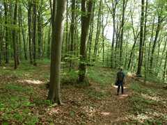 05-Ahrenberg-Westerburg-Bruchteich-Sooden-006