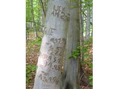 05-Ahrenberg-Westerburg-Bruchteich-Sooden-008