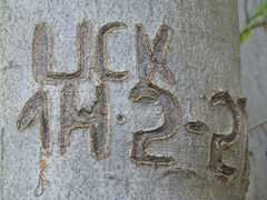 05-Ahrenberg-Westerburg-Bruchteich-Sooden-010