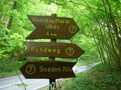 05-Ahrenberg-Westerburg-Bruchteich-Sooden-011