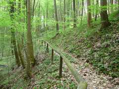 05-Ahrenberg-Westerburg-Bruchteich-Sooden-012