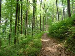 05-Ahrenberg-Westerburg-Bruchteich-Sooden-013