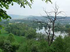 05-Ahrenberg-Westerburg-Bruchteich-Sooden-015