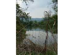 05-Ahrenberg-Westerburg-Bruchteich-Sooden-019