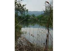 05-Ahrenberg-Westerburg-Bruchteich-Sooden-020