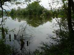 05-Ahrenberg-Westerburg-Bruchteich-Sooden-024