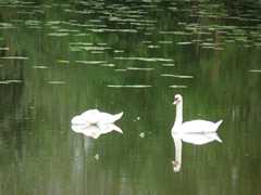 05-Ahrenberg-Westerburg-Bruchteich-Sooden-027