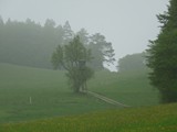 03-Ludwigstein-Kammerbach-Rosskopf-Ahrenberg-025