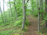 03-Ludwigstein-Kammerbach-Rosskopf-Ahrenberg-030