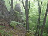 03-Ludwigstein-Kammerbach-Rosskopf-Ahrenberg-031