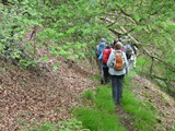 03-Ludwigstein-Kammerbach-Rosskopf-Ahrenberg-035