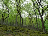 03-Ludwigstein-Kammerbach-Rosskopf-Ahrenberg-036