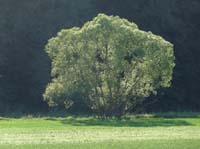 Fuldaradweg-110602-674