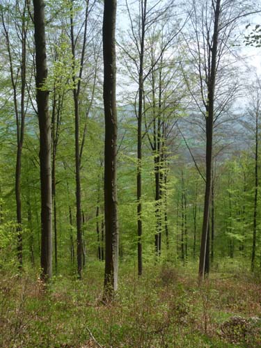 Kella-Rundwanderung-720