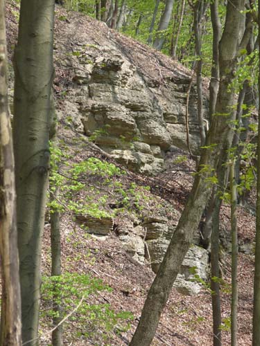 Kella-Rundwanderung-725