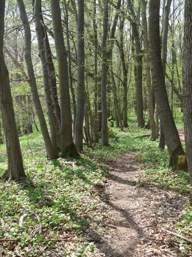 Kella-Rundwanderung-769