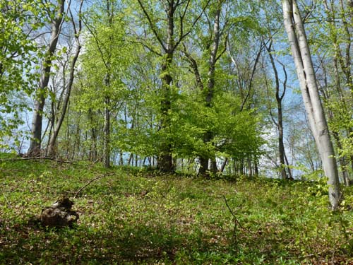 Kella-Rundwanderung-780