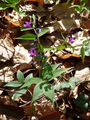 Kella-Rundwanderung-820